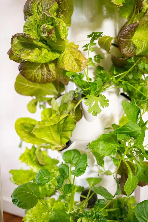 Aeroponic Vertical Tower Garden System 9 Layers with 4 Grow Ports 36 Plant Ports LED Light Kit Soil-Free Growing System for Indoor &amp Outdoor Home Growing (9 Layer Base Kit)