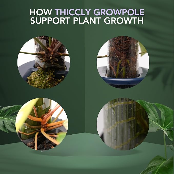 THICCLY Small GrowLid 10 Pcs (Clear) - Self Watering Clear D-Shaped Plastic Moss Pole Hydroponics Growing System Kratky Hydroponic Kit Moss Pole Monstera Plant Support Philodendron and Anthuriums