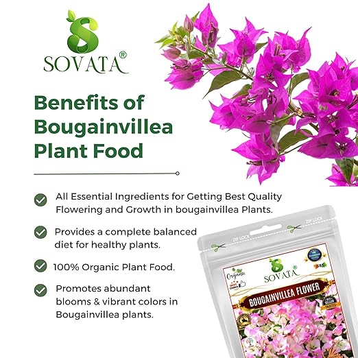 Sovata® Bougainvillea Flower Food Powerful Organic Fertilizer for Heavy Flowering and Fast Growth of Bougainvillea Plants. (900 gm)