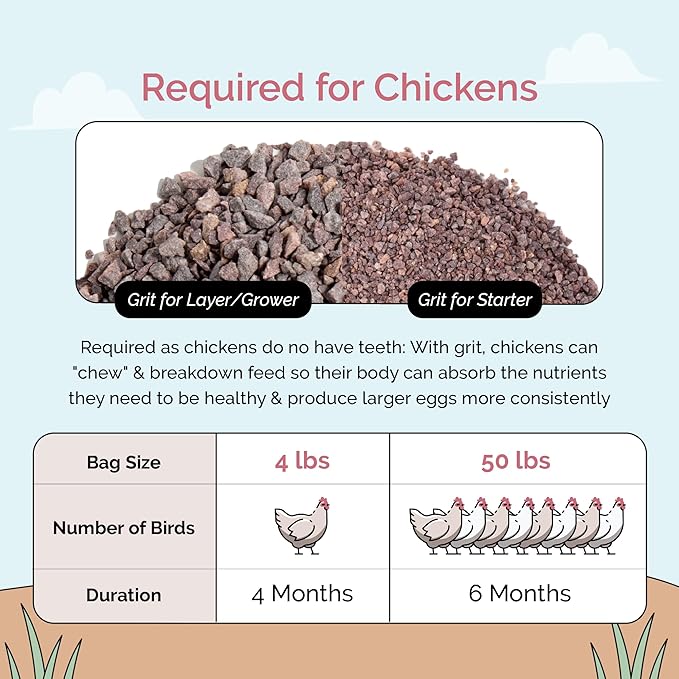 Chicken Grit &amp Oyster Shell Bundle – 100% Natural Mineral Grit &amp Limestone Calcium for Layers &amp Growers – Strong Eggshells Healthy Digestion USA Mined 2-Pack (4 lbs. Each)