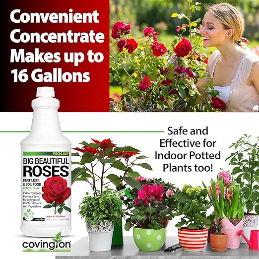 Covington Liquid Rose Fertilizer for All Types (32oz) – Liquid Concentrate for Desired Rose Tone – Natural Flower Bush Fertilizer for Indoor &amp Outdoor Use – Bloom Growth Plant Food