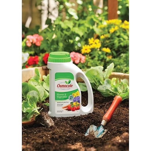 Osmocote 4 Month 14-14-14 Slow Release Vegetable &amp Flower Plant Food Fertilizer 4.5 Lbs. - Pack of (2)
