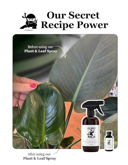Plant &amp Leaf Spray – Non-Toxic Leaf Shine &amp Protector | Eco-Friendly Safe for Indoor Plants | Handcrafted Women-Owned 3rd Generation Recipe | Plant-Based Formula with Gentle Silicone