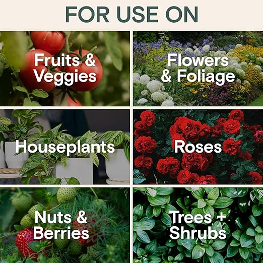 Organic Liquid Plant Food &amp Fertilizer – Indoor/Outdoor for Houseplants Vegetables &amp Flowers Monstera &amp Money Tree – OMRI Listed Pollinator Safe – Easy Weekly Mix (Nutrition &amp Healt