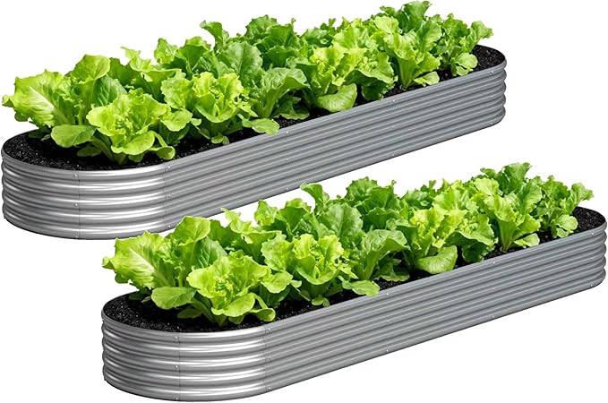 2PCS 12x2x1FT Galvanized Raised Garden Bed KitVegetable Boxes-Oval Metal Flower BoxLarge Planter Raised Beds Outdoor Garden for PlantingFruitHerb-Silver
