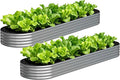 2PCS 12x2x1FT Galvanized Raised Garden Bed KitVegetable Boxes-Oval Metal Flower BoxLarge Planter Raised Beds Outdoor Garden for PlantingFruitHerb-Silver