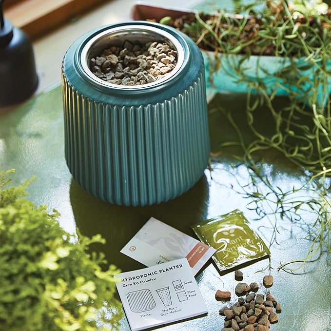 Modern Sprout Flower Grow Kit - Ceramic Planter with Indoor Hydroponics Growing System Kit Ideal for Living Room Decor - Unique Gardening Gifts - Daisy Daydream Self Watering Flower Planting Kit