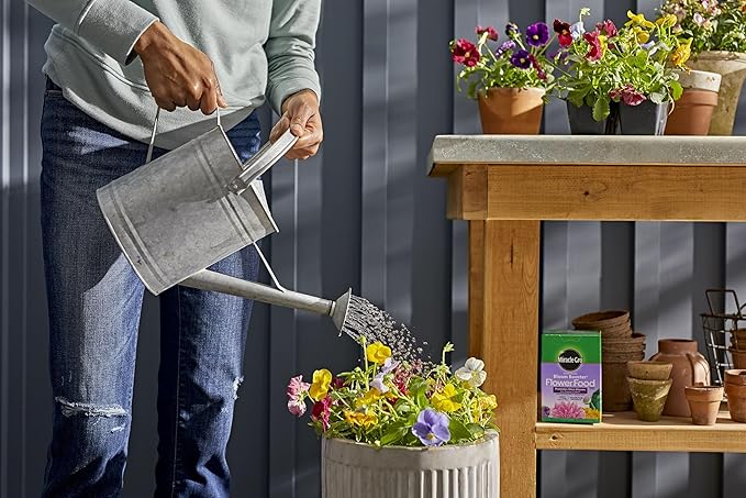 Miracle-GRO Water Soluble Bloom Booster Flower Food for Use on All Annuals and Perennials 1.5 lbs. 2-Pack