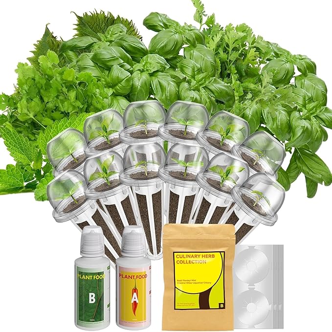 12-Pod Seed Pod Kit (Herb Seeds)