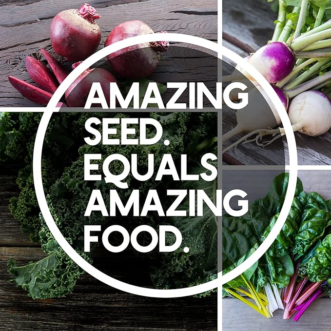Fall Garden Heirloom Vegetable Seed - ~3800+ Seeds 7 Varieties of Seeds to Sow in Fall Months – Turnip Beet Chard Echinacea Spinach Brussel Sprouts and Kale Heirloom Seed for Planting