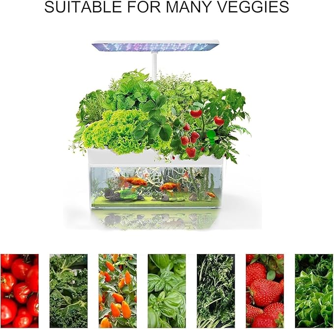 Smart Garden 12 Pods Countertop Hydroponic Growing System with LED Grow Light Indoor Smart Hydroponics &amp Eco Fish Tank Planter for Home Kitchen Office White