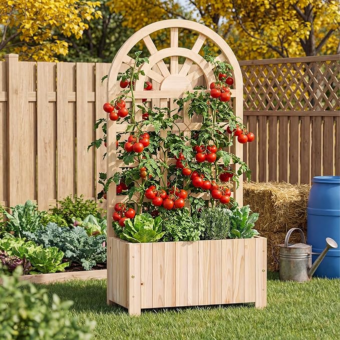 BECOMFORT 48”H Raised Garden Bed with Arched Trellis Fir Wood Planter Box with Privacy Screen &amp Drainage Holes for Balcony Yard Elevated Outdoor Flower Box for Climbing Plants Vegetables &amp