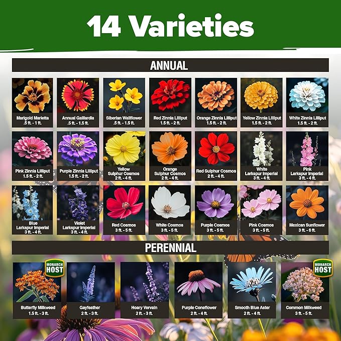 HOME GROWN Pollinator &amp Pumpkin Garden Mix – 40 Pumpkin &amp 20000 Monarch Butterfly Wildflower Seeds &amp 23500 Moss Rose Seeds – Non-GMO USA Heirloom for Outdoor Planting