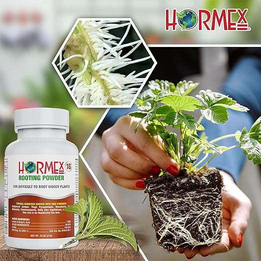 Hormex Rooting Powder #16 &amp Vitamin B1 Hormone Concentrate Combo - Root Stimulator for Hardwood Cuttings &amp Liquid - Perfect for Hydroponics House Plants Gardens Fruits &amp Vegetables 21g