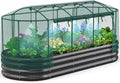 Quictent Galvanized Raised Garden Bed Kit with Self Watering System and Mesh Cover Large Oval Metal Outdoor Planter Garden Boxes for Vegetables Herbs Flowers 8x3x1Ft