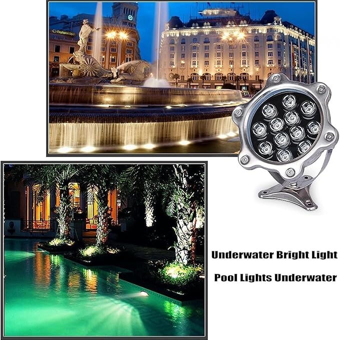 Outdoor Landscape Spotlight - IP68 Waterproof Submersible Fountain Light AC12/24V Low Voltage Recessed Pond Lamp for Garden Stairs Swimming LightingAC24V(12W)