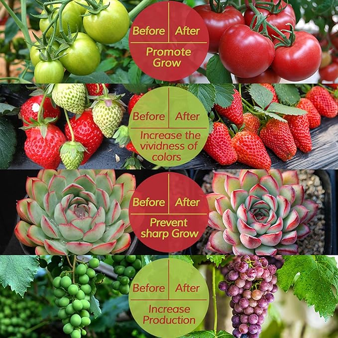 Solar Powered Grow Lights 16.4ft Full Spectrum Plant Light Strip with Panel for Garden Greenhouse