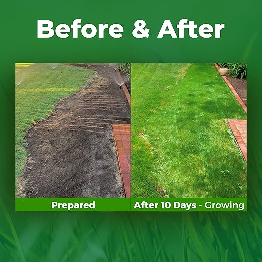 Growtrax 200 Sq Ft Biodegradable Kentucky Blue and Perennial Rye Blend Grass Seed Mat - Mix &amp Fertilizer Mat for Ball Fields Parks &amp Residential Lawns