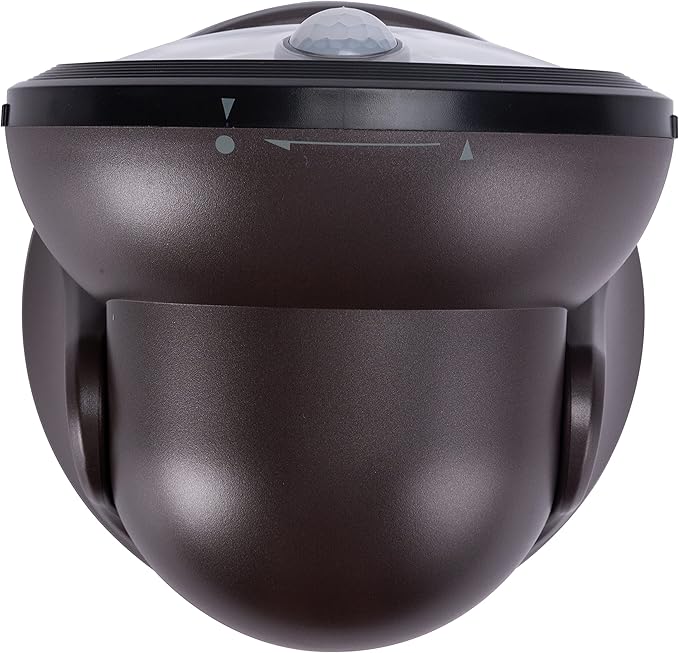 LIGHT IT! By Fulcrum 20038-107 600L LED Porch Light Bronze Single pack