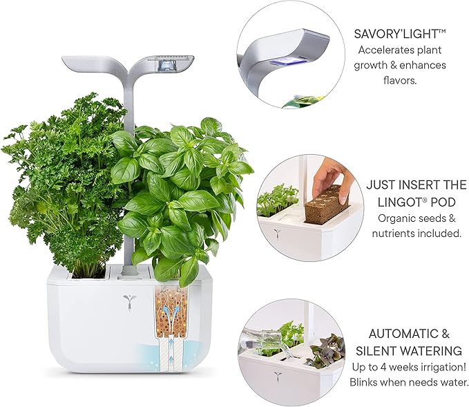 Smart Indoor Garden by Véritable® - Exky Smart Arctic White - 2 Lingots® Included