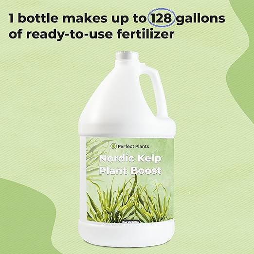 Nordic Kelp Boost Liquid - Perfect Plants (1 Gallon) (Pack of 2)