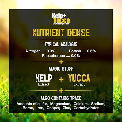 GS Plant Foods Kelp + Yucca Plant Fertilizer &amp Soil Conditioner – Heat &amp Drought Protection Formula for Vegetables Lawns Gardens &amp Houseplants (11 oz Dry Concentrate)