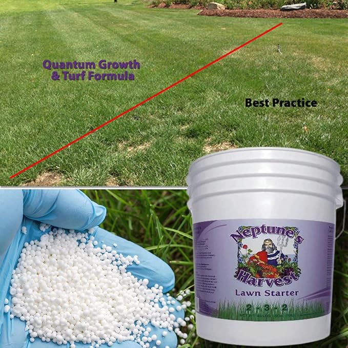 Neptune's Harvest Lawn Starter Fertilizer 5 Gallon Pail