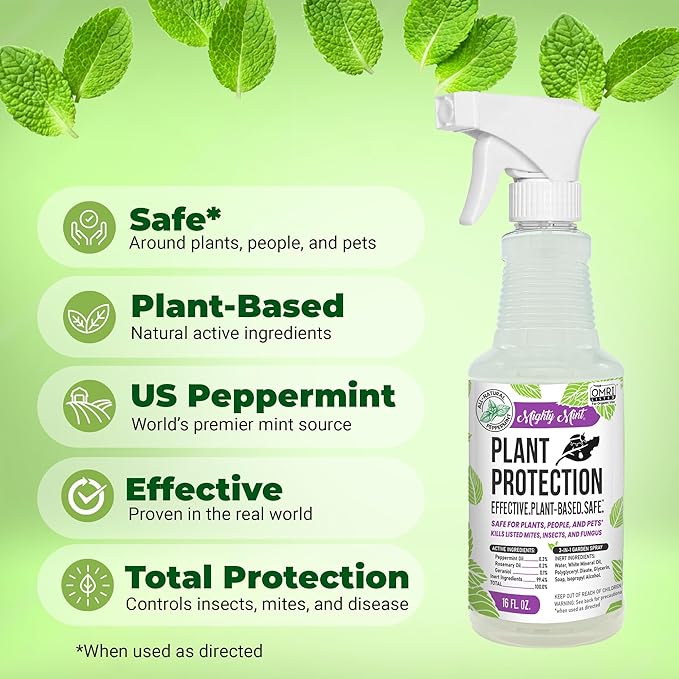 Mighty Mint Peppermint Oil Plant Protection Spray – Insect &amp Pest Control for Gnats Spider Mites &amp Aphids – Plant-Based Easy-to-Use - 16 oz