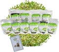 Organic Sprouting Seed Mix – 2.5 lb – 10 Varieties: Alfalfa Mung Bean Broccoli Lentil Clover Buckwheat Radish Bean Salad More