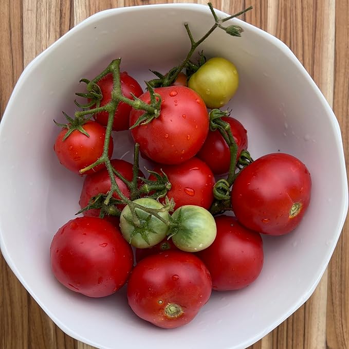 Plant Good Seed Organic Tomato Seed Collection - 7 Packets Black Prince Black Cherry Brandywine Czech Bush Sweet Red Datterino Tomato Siskiyou Orange Sweet Yellow Datterino - Seeds for Planting