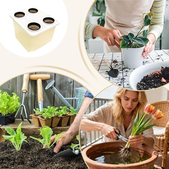 Hydroponic Vegetable Planter - Soilless Cultivation Greenhouse Container - Soilless Cultivation Barrelsfor Indoor Outdoor Windowsill Balcony Greenhouse Tomato Cucumber Fruit