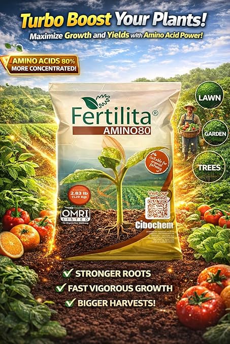 Amino ACIDS 80% More Concentrated - for Indoor and Outdoor Plants LAWNS Vegetables and Fruit Trees - Supports Robust and Vigorous GrowthBetter YIELDS - Water Soluble Won't Burn