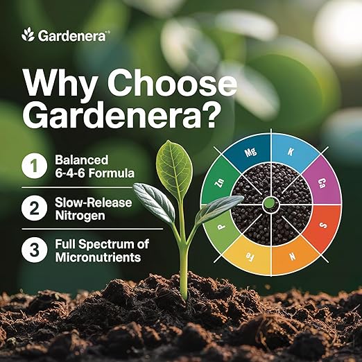 𝐁𝐄𝐒𝐓𝐒𝐄𝐋𝐋𝐄𝐑 Citrus Fertilizer + Vital Micronutrients - Perfect Balanced NPK for All Citrus - for Indoor and Outdoor Plants - Orange Lime Avocado and Lemon Tree Fertilizer - 20 QUARTS
