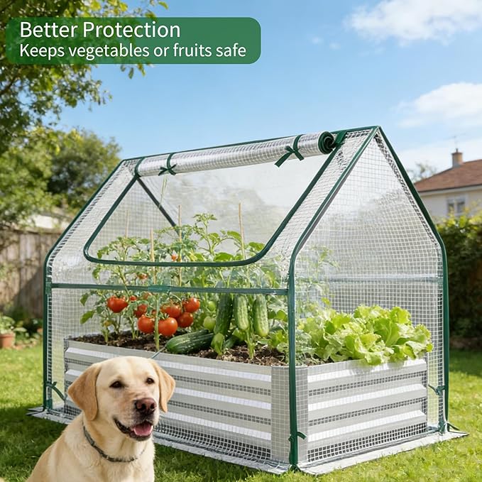Miory Raised Garden Bed with Cover 3.9x2.5x1ft Galvanized Steel Planter with Mini Greenhouse Cover Dual Zippered Screen Windows Open Base for Vegetable Gardening