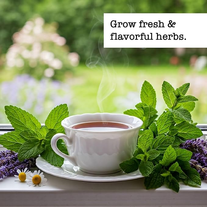 Ferry-Morse Herb Plants - High Germination Rate GMO Free Indoor Tea Herb Kit - 6 Pack