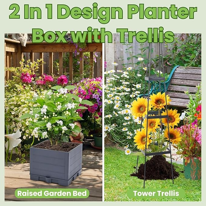 Lancisism 2 Pack Raised Garden Bed Tomato Planter with Trellis - 57 Self Watering Planter Box for Climbing Plants Vegetables Flowers - Garden Tomato Pots with Cage for Patio Greenhouse Indoor Outdoor
