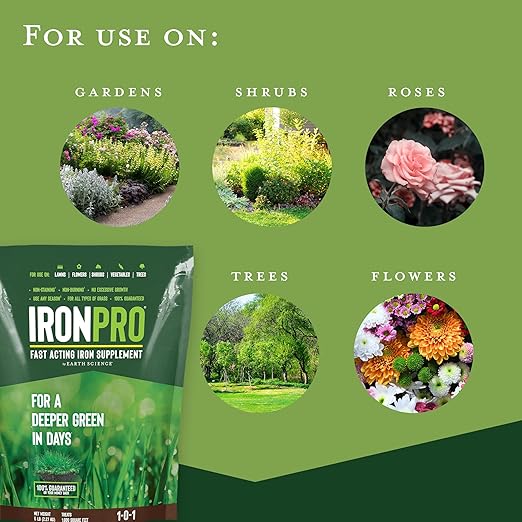 Earth Science IronPro Fast Acting Lawn Garden Iron Supplement–5 lb–Deep Green Results for Grass Flowers Vegetables &amp Shrubs Non-Staining &amp Non-Burning Easy Apply Formula Covers 1600 Sq.