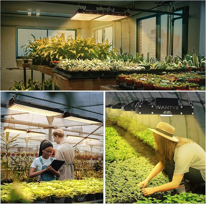 Grow Lights for Indoor Plants - High Red Photons Full Spectrum LED Grow Lights for Seed Starting - 240 Watts Upgraded Nano-Coating Waterproof Plant Light for Indoor Plants with UV - Daisy Chain