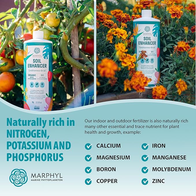 MARPHYL All-Purpose Plant Food – Organic Nutrient-Rich Fertilizer &amp Soil Enhancer for Indoor &amp Outdoor Flowers Vegetables Succulents Bamboo &amp Hydroponics