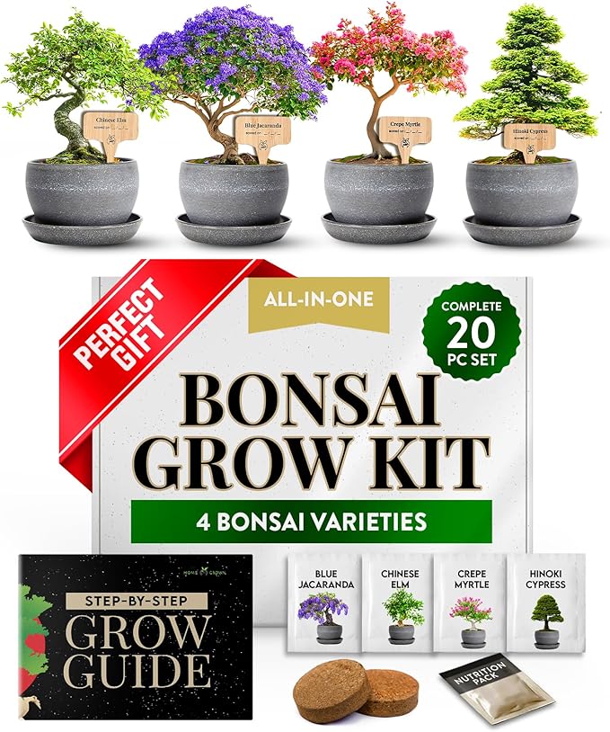 2000+ Vegetable Seeds for Planting - HOME GROWN Bonsai Tree Kit – Easy to Grow 4 Species of Bonsai
