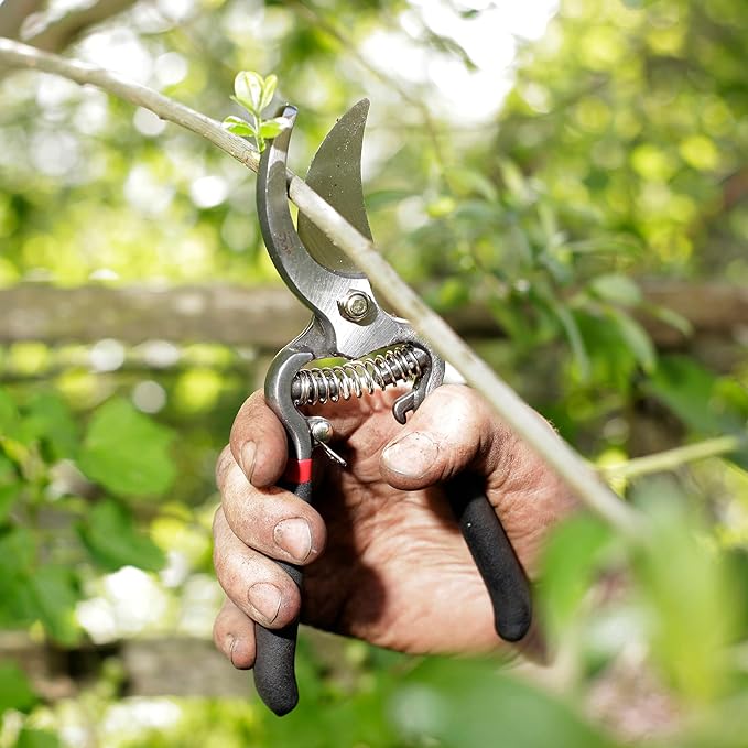 Spear &amp Jackson Drop Forged Bypass &amp Anvil Pruners Set 2 Piece Professional Garden Pruning Tools Durable Steel Blades Comfortable Ergonomic Handles