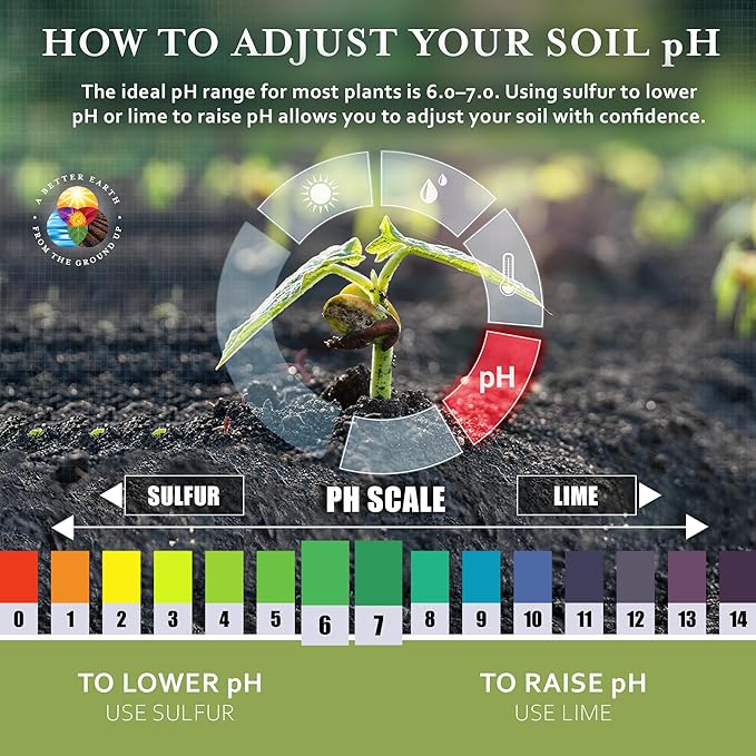 Earth Science Fast Acting Sulfur Granules – 2.5lb – Soil pH Reducer Lowers pH Instantly Reduces Nutrient Runoff Improves Growth &amp Color for Acid-Loving Plants Long-Lasting Lawn Care Supplement