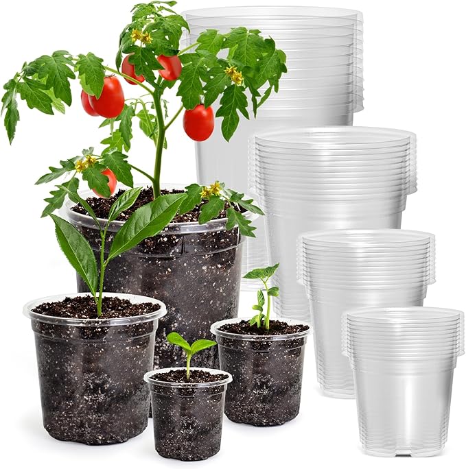 36 Packs 7/5/4/3.5 Inch Reinforced Clear Nursery Pots with Drainage Hole Transparent Variety Pack Plastic Plant Pot Seedling Planter for Vegetable Propagation Root Cutting Seed Starting