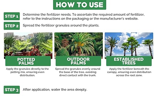 8-4-8 Professional Palm Tree Fertilizer &amp 8-4-8 Acidic Fertilizer for Indoor and Outdoor Plants Palm Trees - Acidic Fertilizer for Azaleas Camellias Hydrangeas Blueberries (1 Qr &amp 12oz)