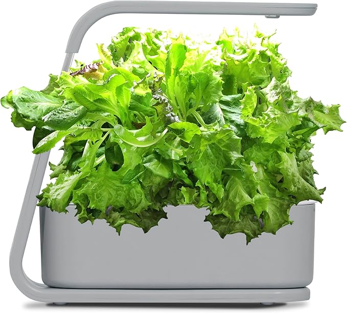 AeroGarden Sprout with Gourmet Herb Seed Pod Kit - Indoor Garden with LED Grow Light Cool Gray