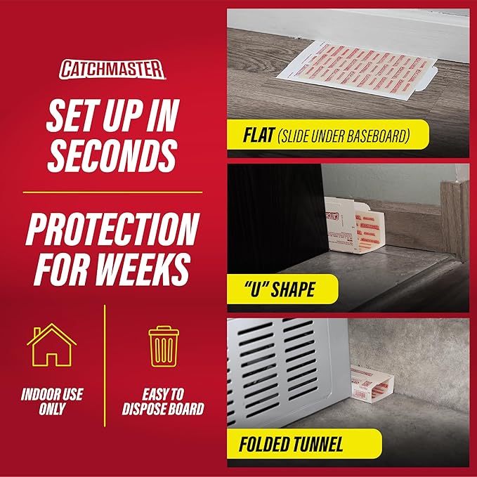 Catchmaster Extra Sticky Insect &amp Mouse Traps 60-Count 5.3x8 Glue Boards for Mice &amp Insects Ultra Sticky Rat &amp MouseTraps Indoor for Home Use in Garages Basements &amp Attics Pest C