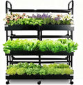 Large 3-Tier Indoor Hydroponics System Kit with Grow Lights Dual Growing Medium Double Water Pump Indoor Garden 88 Pods for Vegetables Herbs Microgreens (Black)
