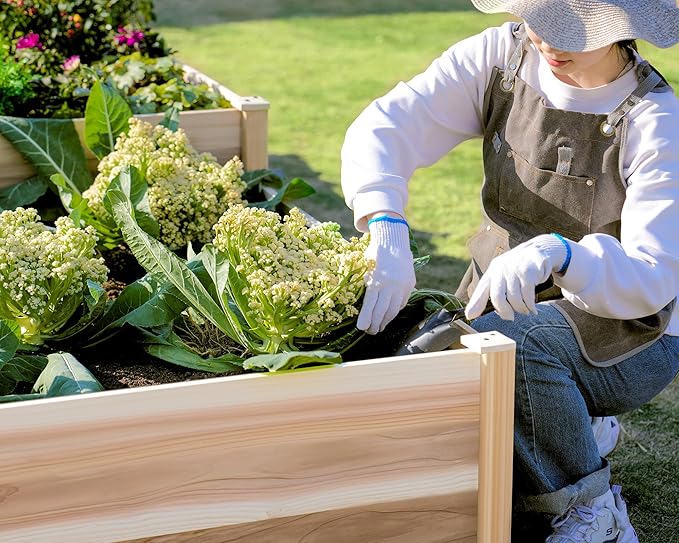 Jocisland H-Shaped Raised Garden Bed 12x12x2 ft 180 cu. ft Capacity Double-Layer Wooden Planter Box for Outdoor Patio Garden
