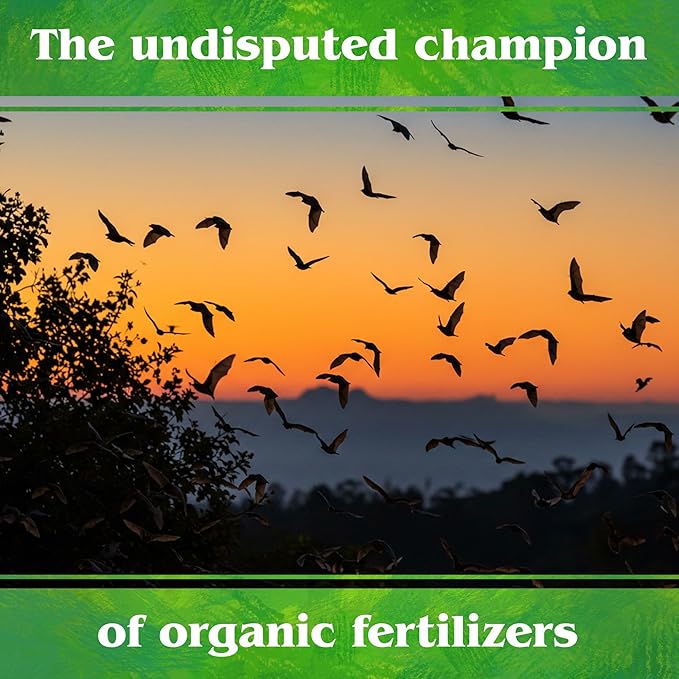 Down To Earth All Natural Fertilizers Organic Bat Guano - High Nitrogen Plant Food for Vegetative Growth 7-3-1 10 Lb