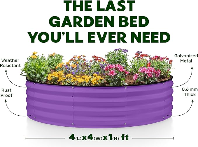 Plant &amp Plot Galvanized Raised Garden Beds Outdoor // Planter Raised Beds for Gardening Vegetables Flowers // Large Metal Garden Box (Purple) // Patent Pending Tool-Free Assembly